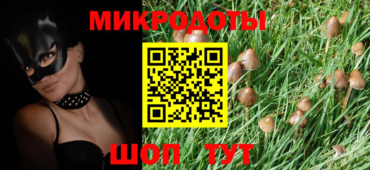 Псилоцибиновые грибы Psilocybe Камышлов